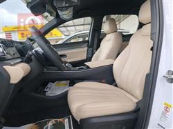 بي واي دي ‎سونغ برو DM-i